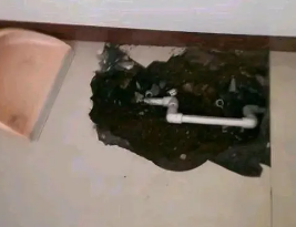 馆陶卫生间测漏水多少钱